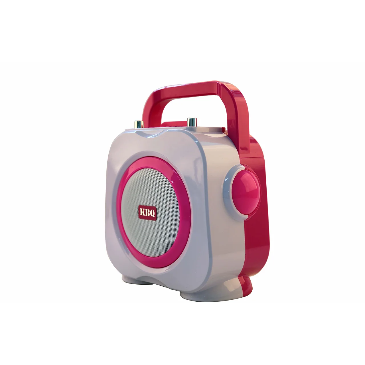 Bluetooth Speaker 5.0 Dual Pairing Wireless Speaker 360 HD Surround Sound & Rich Stereo Bass with Two microphone