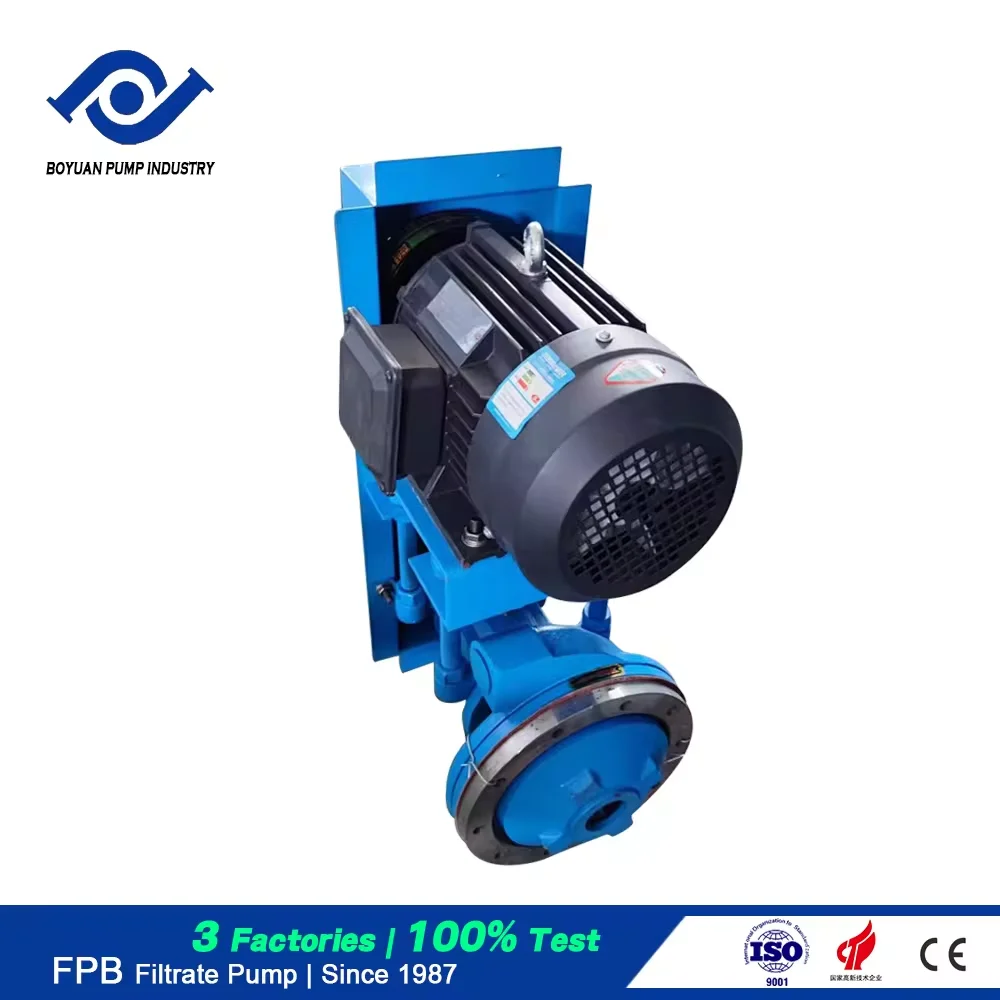 Wholesale Paper Making FPB Type FiltratePpump Supporting Water Ring Vacuum Pump FPB125-50 Filtrate Pump