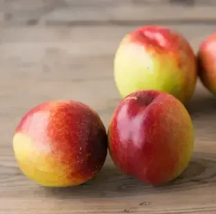 High Quality Big Green Safety Fresh Stone Fruit Peaches Nectarines
