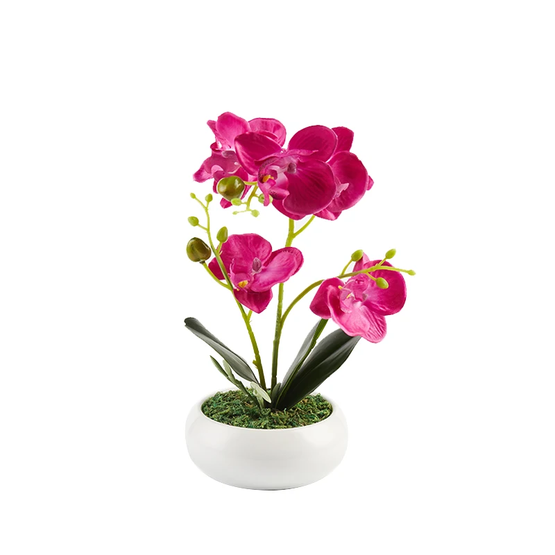  PRIMAISON Artificial Orchid with Ceramic White Vase Indoor Decor Table Decoration plastic Plant Pot