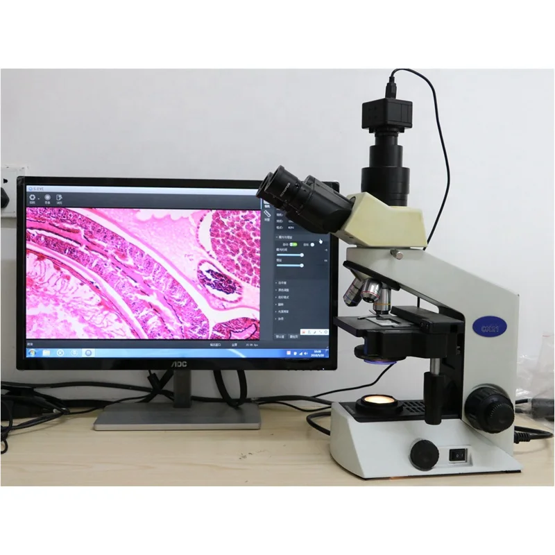 Factory Supply 5.0MP CMOS Industrial 23.2mm USB 2.0 C Mount Microscope Camera for Binocular Trinocular