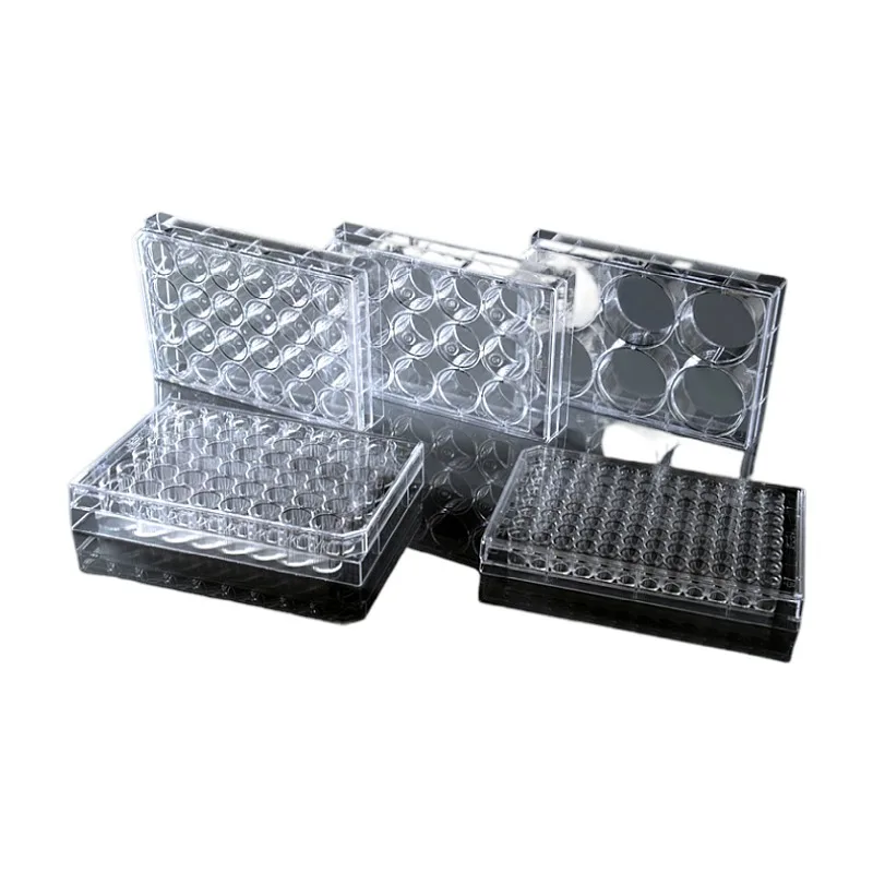 lab plastic containers 6 well V Bottom cell culture plate