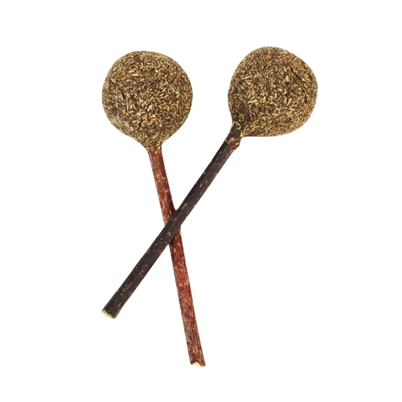 Pet Toy Cat Snacks Funny Actinidia catnip Lollipop For Cat Licking Playing