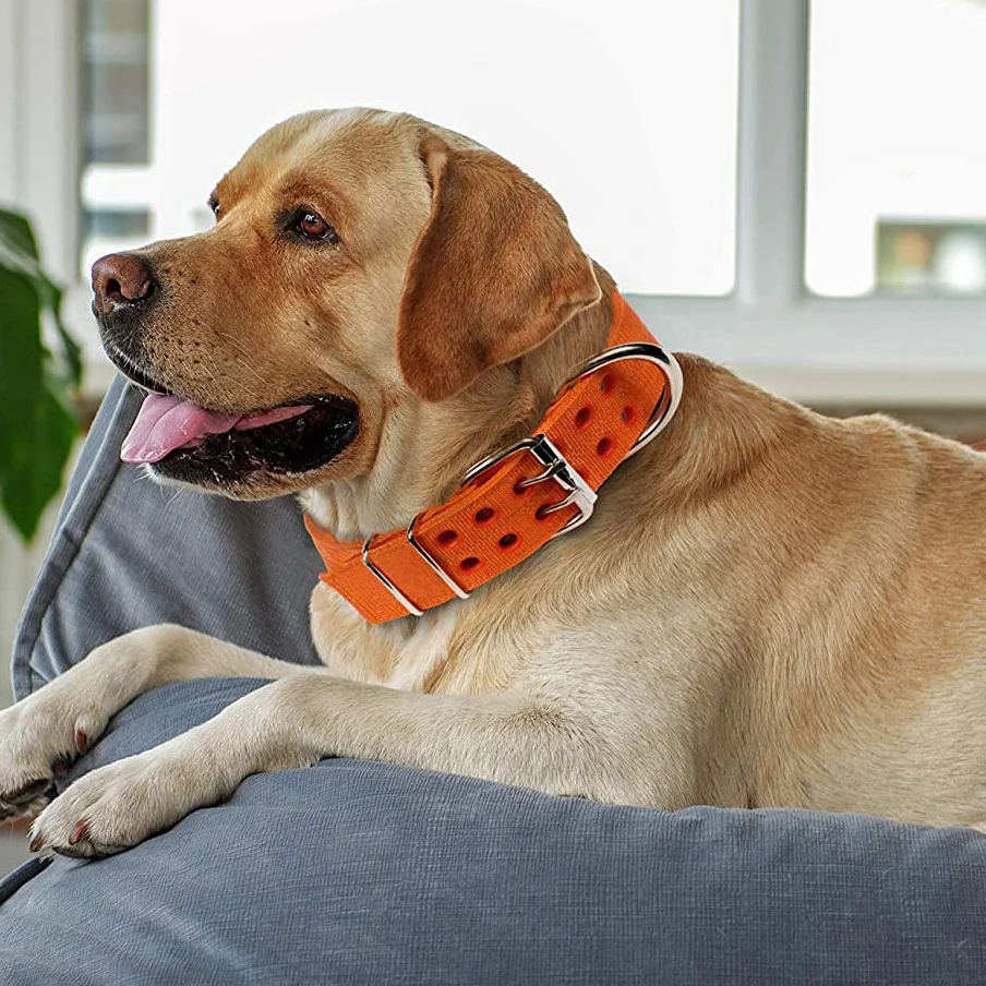 Bull dog large fashion heavy duty nylon tactical training metal fashion dog collar