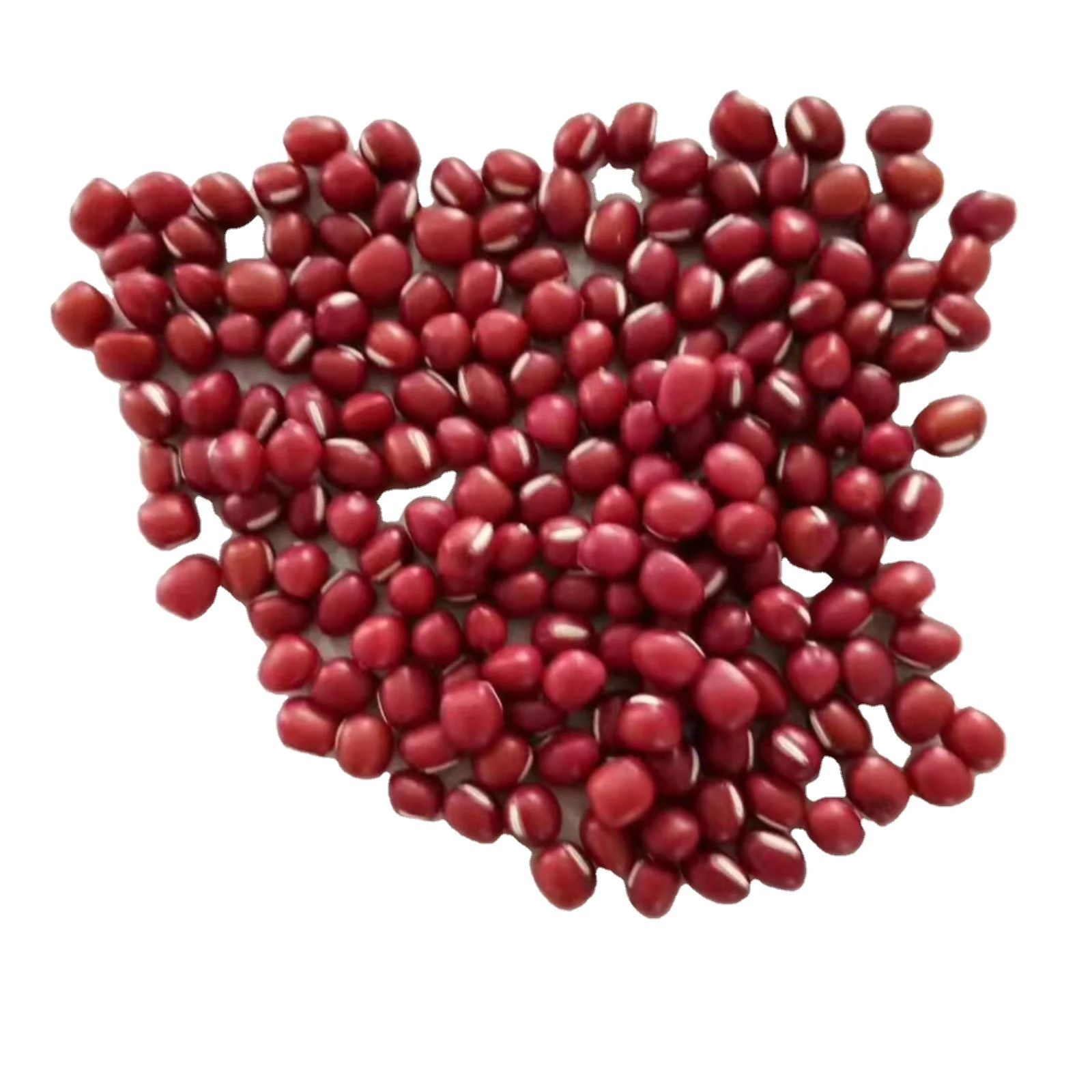 
 Урожай 2021, фасоль Adzuki, маленькая красная фасоль 4,5 мм-6,0 мм, научное название фасоли  