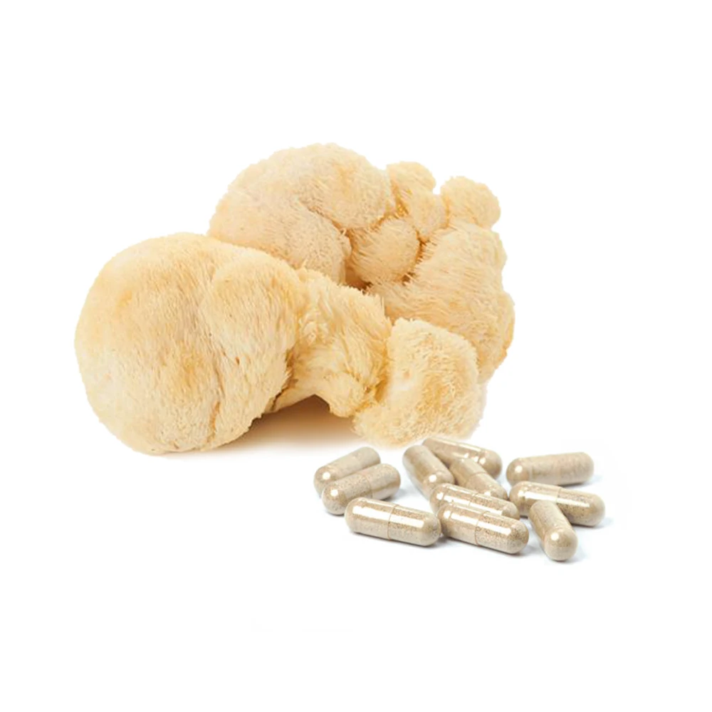 Грибной порошок 10%-40% Hericium Львиная Грива сырье