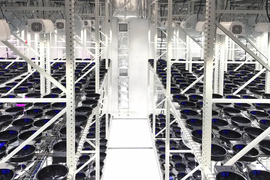 Multi-span greenhouses irrigation&hydroponics equipment vertical growing systems indoor