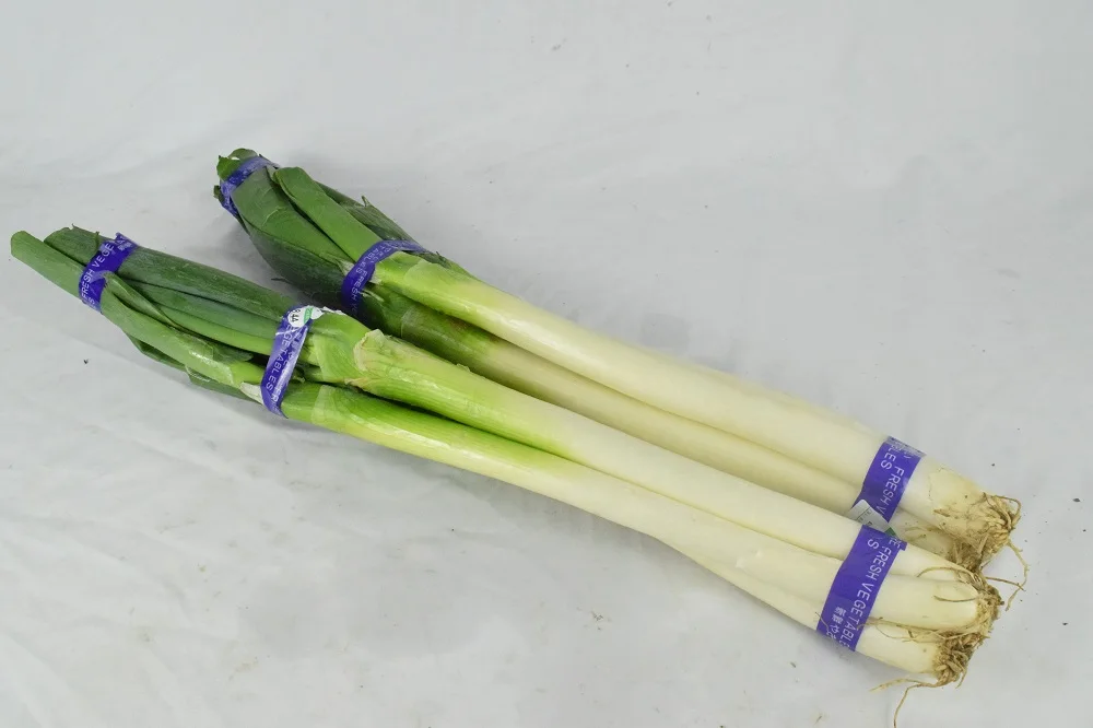 
The Best Quality Organically Grown Natural Green Onions, Suitable for Eating Green Onions 