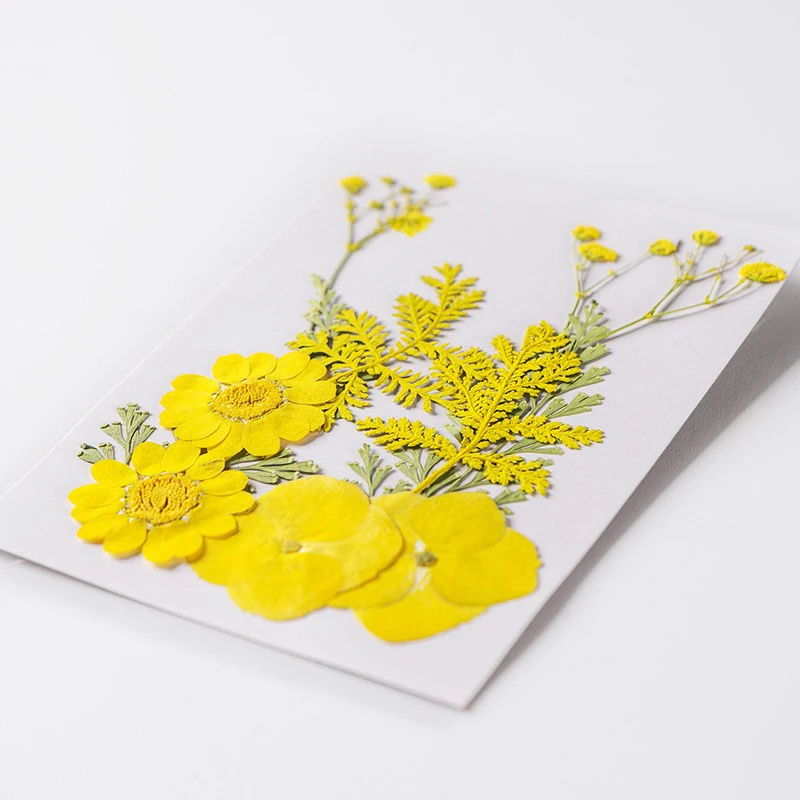 manufacturer wholesale mixed material pack dry pressed flowers for resin