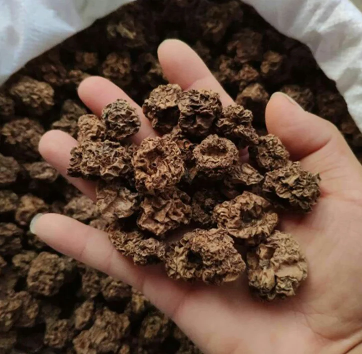 100% Органическая сушеная актинидия полигамная насекомое желчный натуральный корм для кошек с высоким содержанием белка