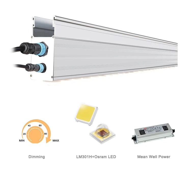 Koray 300W 600W 800W 1000w replace HPS lamp optic toplight indoor greenhouse led grow light