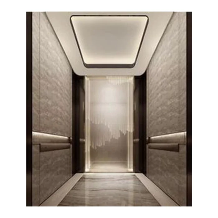 ZLE 2.5m/s Modernization Residential Passenger Elevator Lift 1000KG 13 Persons House Elevator