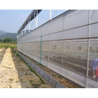 Economical Agricultural mushroom used film greenhouse Green house Agricultural Equipment Grain