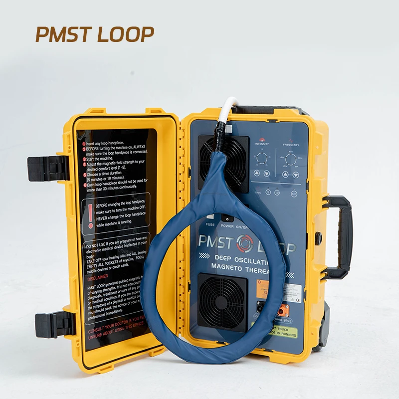 Newest Pmst Loop Pro Pulsed Electro Magnetic Field Pemf Therapy Device