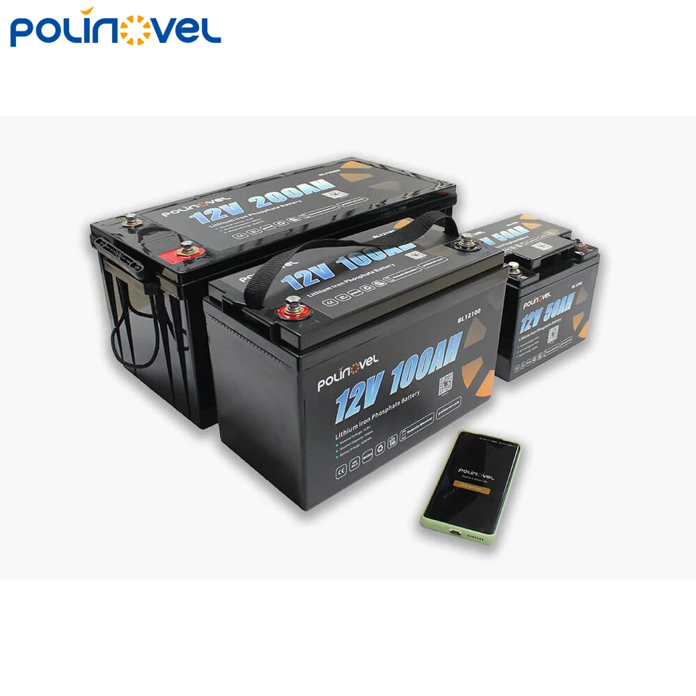 2021 Bms 100Ah Rechargeable Lifepo4 Leisure Lithium Iron Phosphate Battery Solar Pack 12V 100Ah Batteries 12V 300Ah Bluetooth