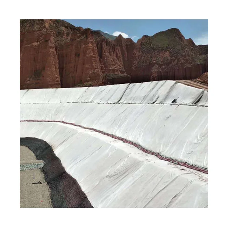 Factory Price 150g 200g 300g 400g 500g 800g 1000g Reinforced PP /Pet Polyester Woven/Nonwoven Geotextile for Road Construction