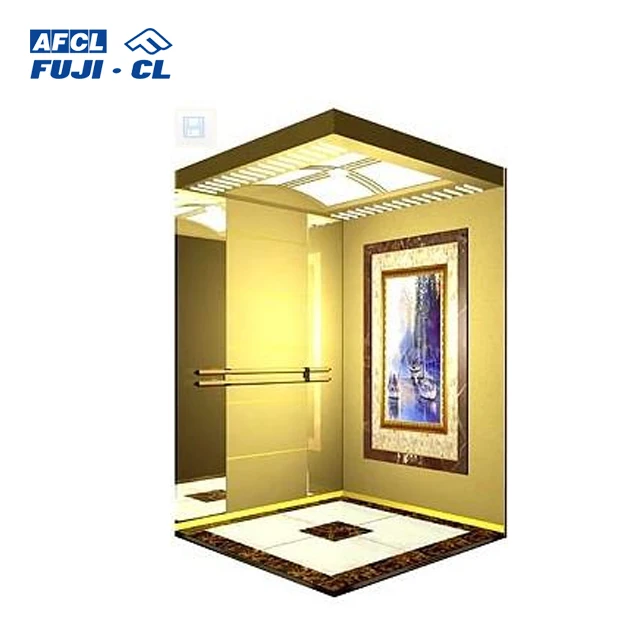 OEM Factory swl single stop fuji hd elevator elevator. with safety rope