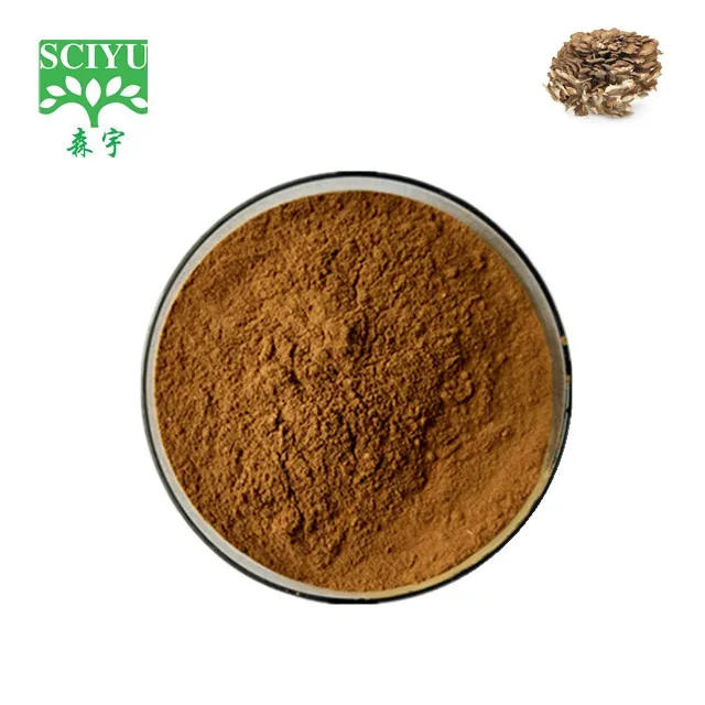 
High Quality Maitake Mushroom Extract Polysaccharides 10%~50% Powder 