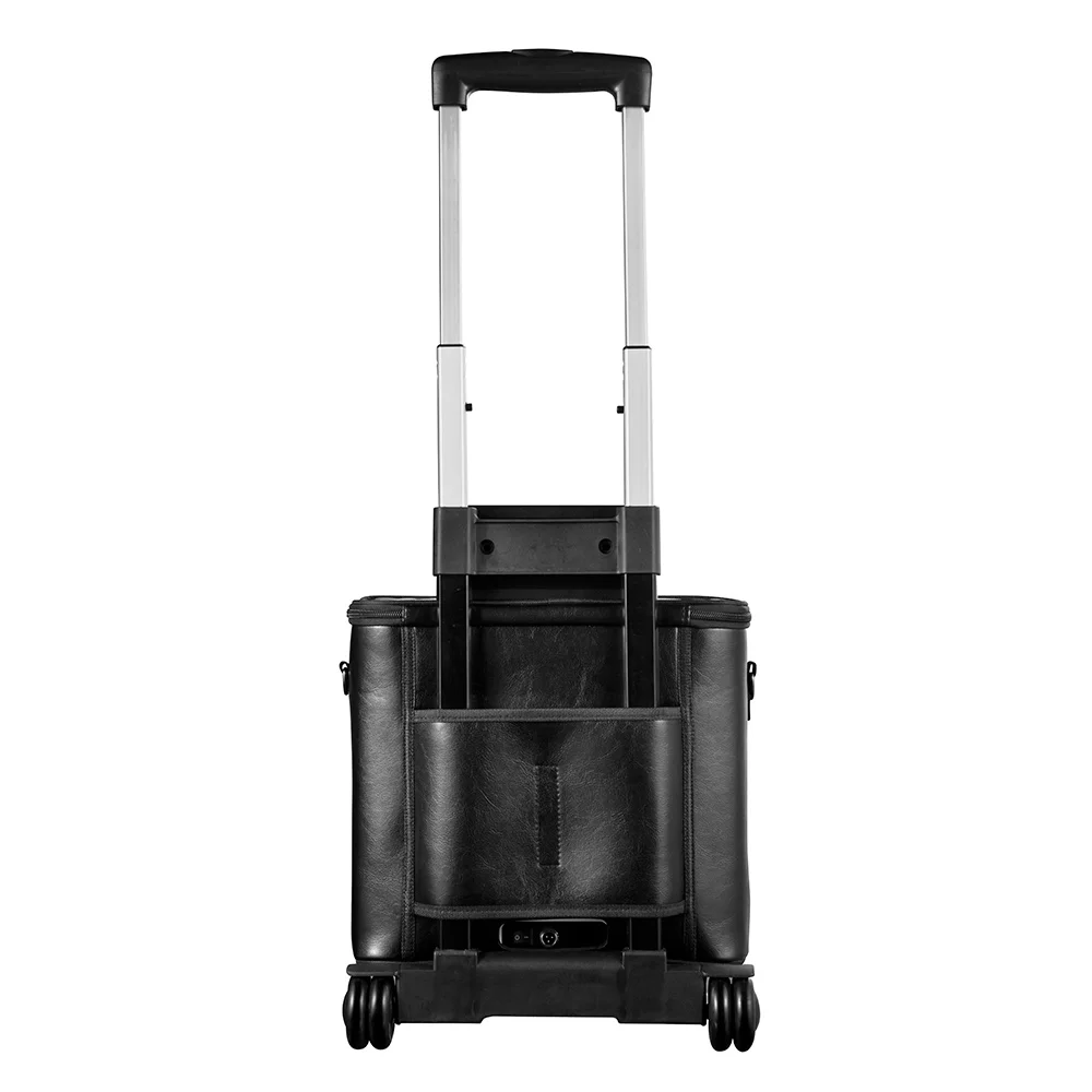 Top quality portable oxygen concentrator for sale with factory price