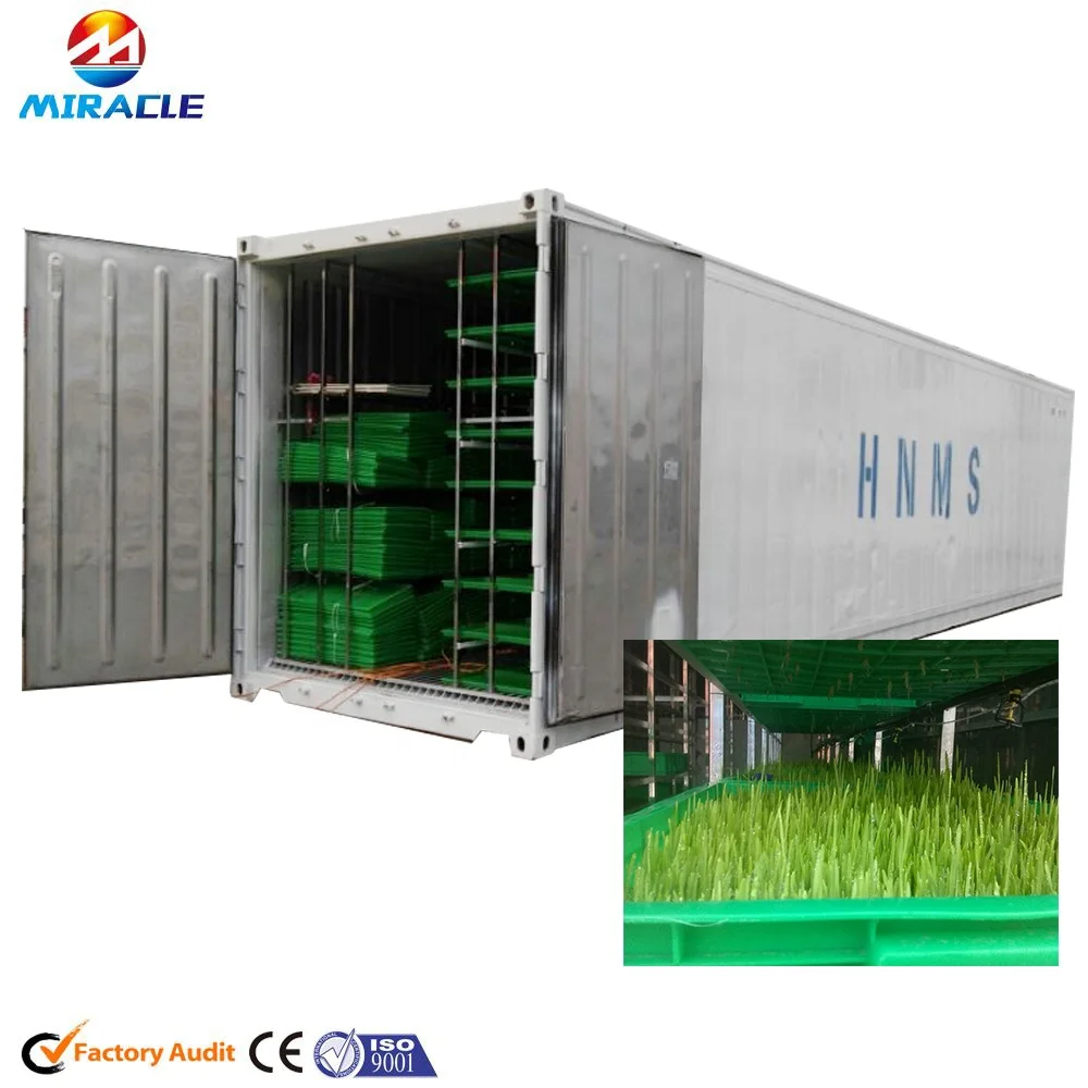 Hydroponics Wheat/Barley Sprouting System Container Type Poultry Feed Fodder Growing Machine