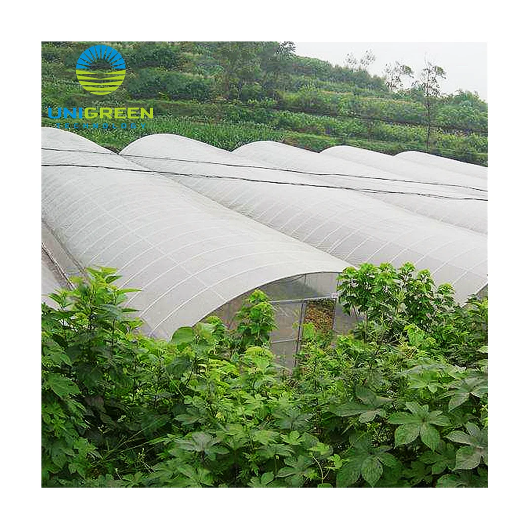 Poly Tunnel  Greenhouse Plastic  Film Greenhouse for Sale