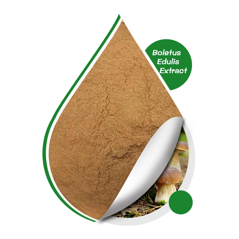 China Factory Wholesale 30% Polysaccharides Free Sample Natural Organic Boletus Edulis Extract Powder For Sale