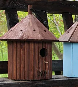 2021 new solid wood family animal nest in indoor/outdoor CNLF