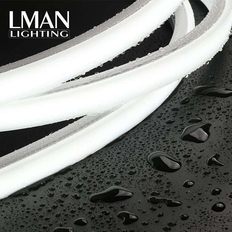 Excellent Brightness IP65 Waterproof 20*14mm 120led/m Smd 2835 DC 12v 24v Led Neon Lamp