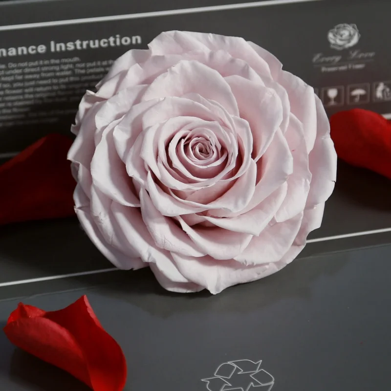 A grade 9-10cm big size preserved flower head natural rainbow red rose by Feiliya 2020