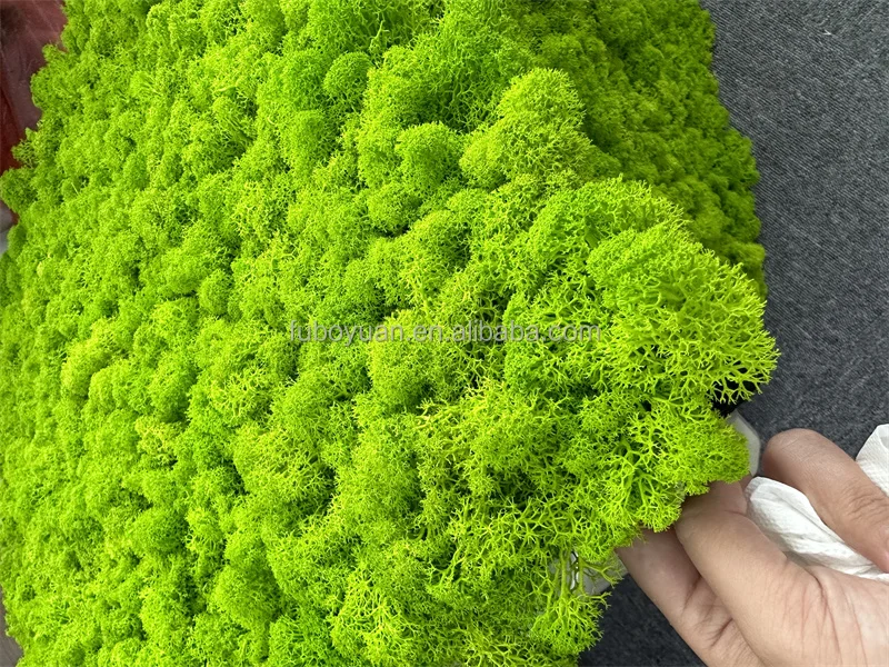 SZ04 DIY Украшение натуральный оленьий мох консервированный зеленый олень Настенный декор высокое качество панель