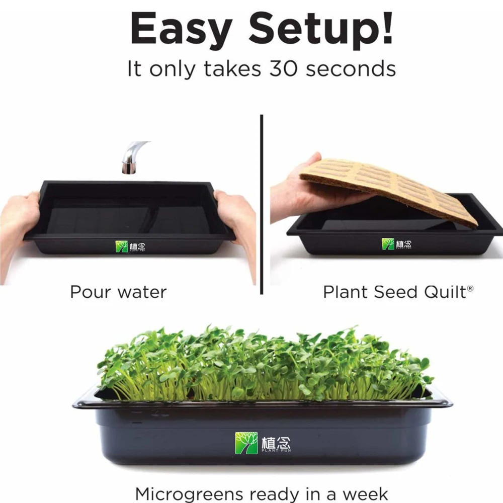 Amazon hot selling easy microgreen for growing microgreens at home with planting tray