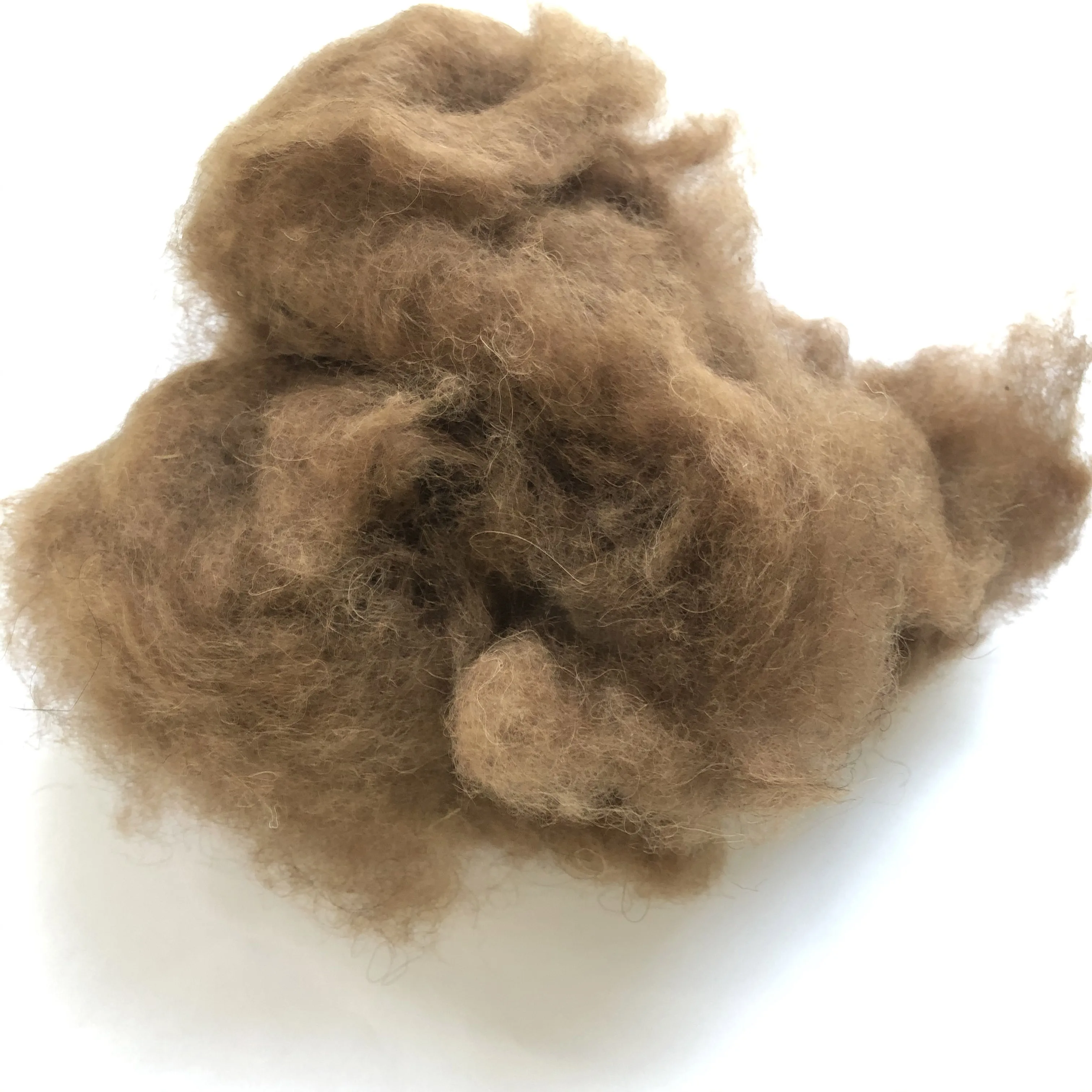 Hot! 100% Dehaired Camel Hair for Camel Yarn and Camel Wadding