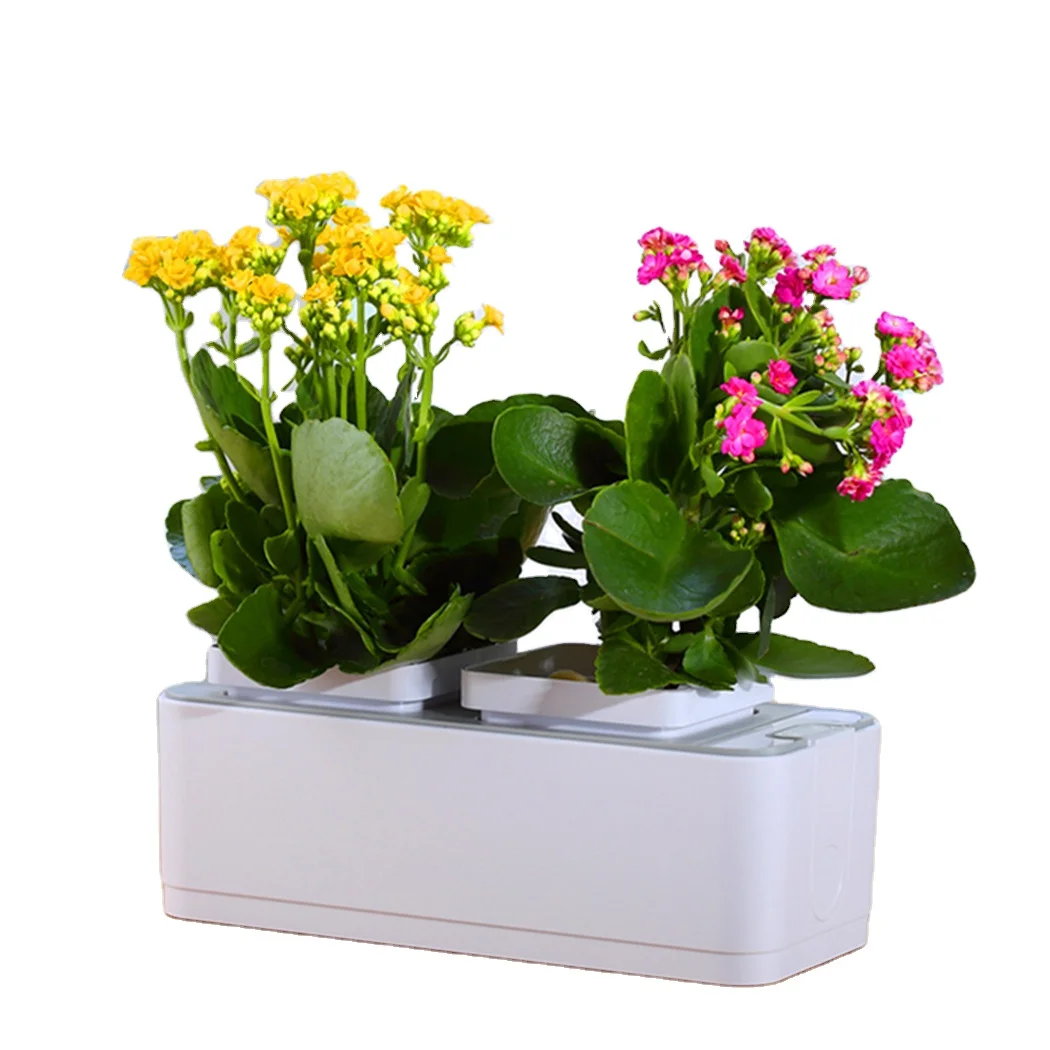 RY New products hydro plant grown smart planter pot small plant watering system