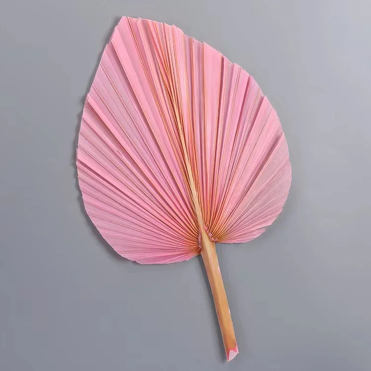 palm leaf fan  (17).jpg