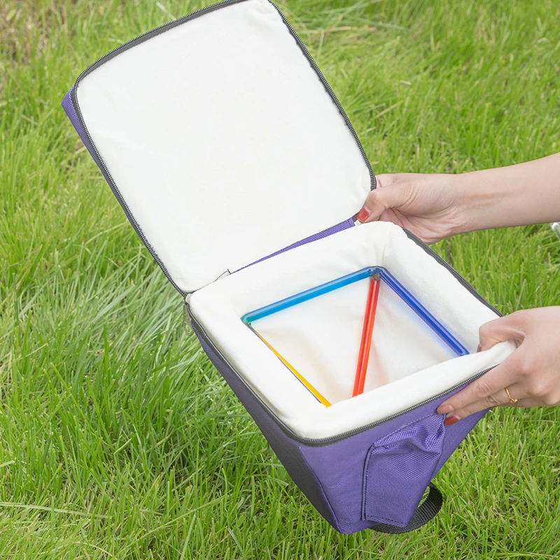 Hot Sale High Quality Crystal Singing Pyramid Carry Case