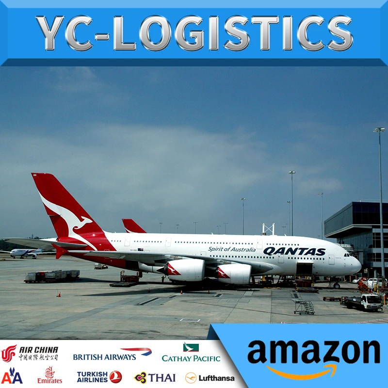  Экспресс-обслуживание от двери до авиаперевозка из Китая в Индию FCL/LCL