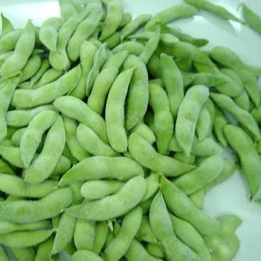 Wholesale price high quality 20kg bulk iqf frozen green edamame soybean
