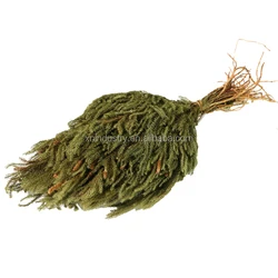 Hight quality A Grade Real Dried club mosses for home decoration