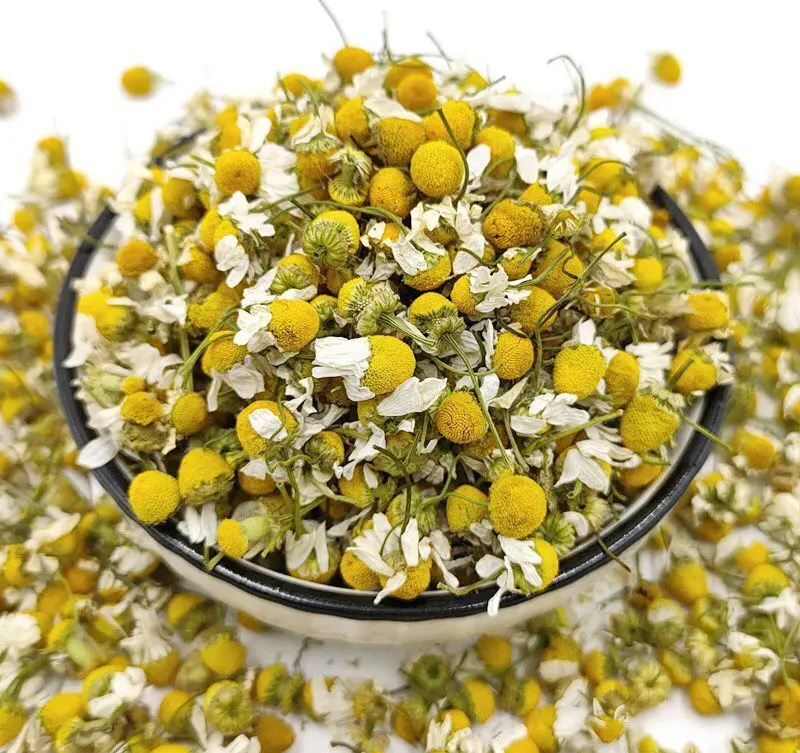 Greek Chamomile, Camomile, Dried flowers Natural