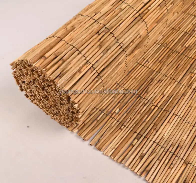reed matting cane reed mat for garden for balcony for chain-link