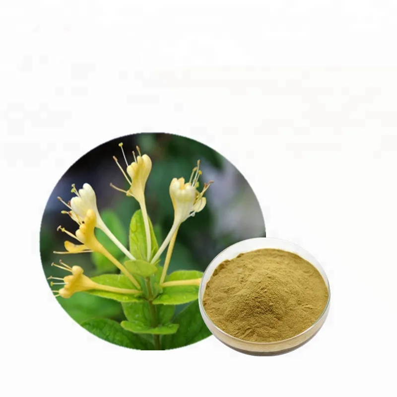 Manufacturers Wholesale Health Food Grade Honeysuckle Extract Powder