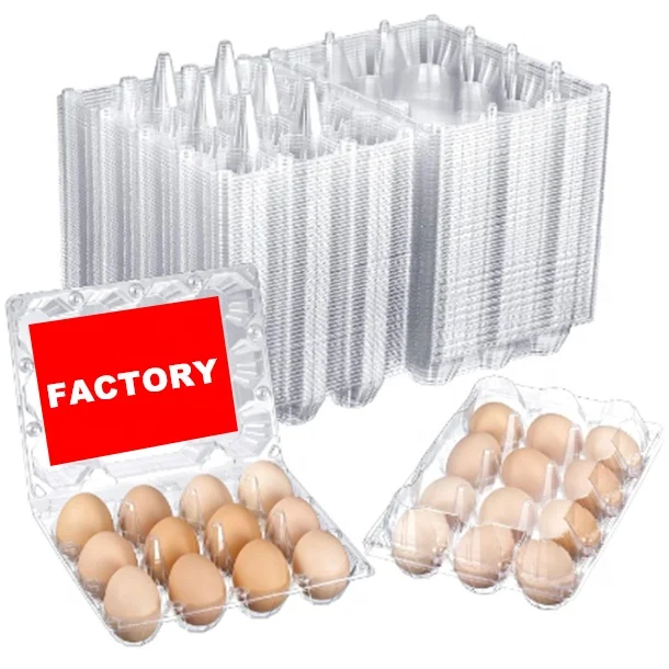 4 6 8 10 12 15 20 30 Transparent Shockproof Plastic Egg Packaging Disposable Clear Plastic Egg Tray Reusable
