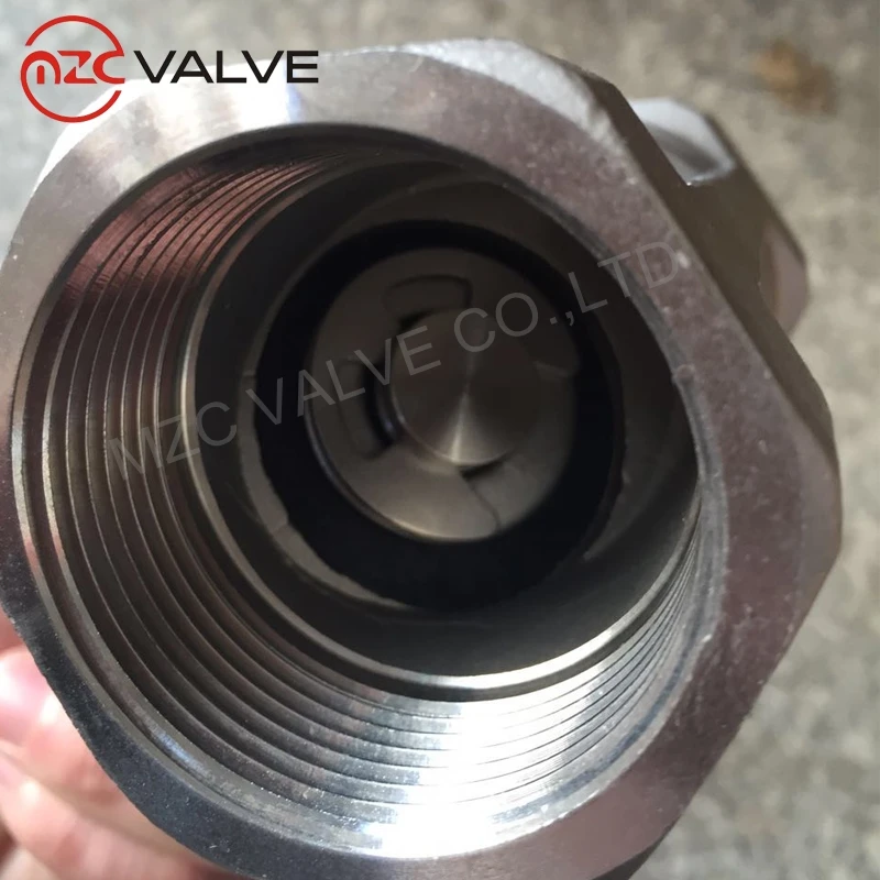 CF8M Y type BSP end check valve with 800WOG