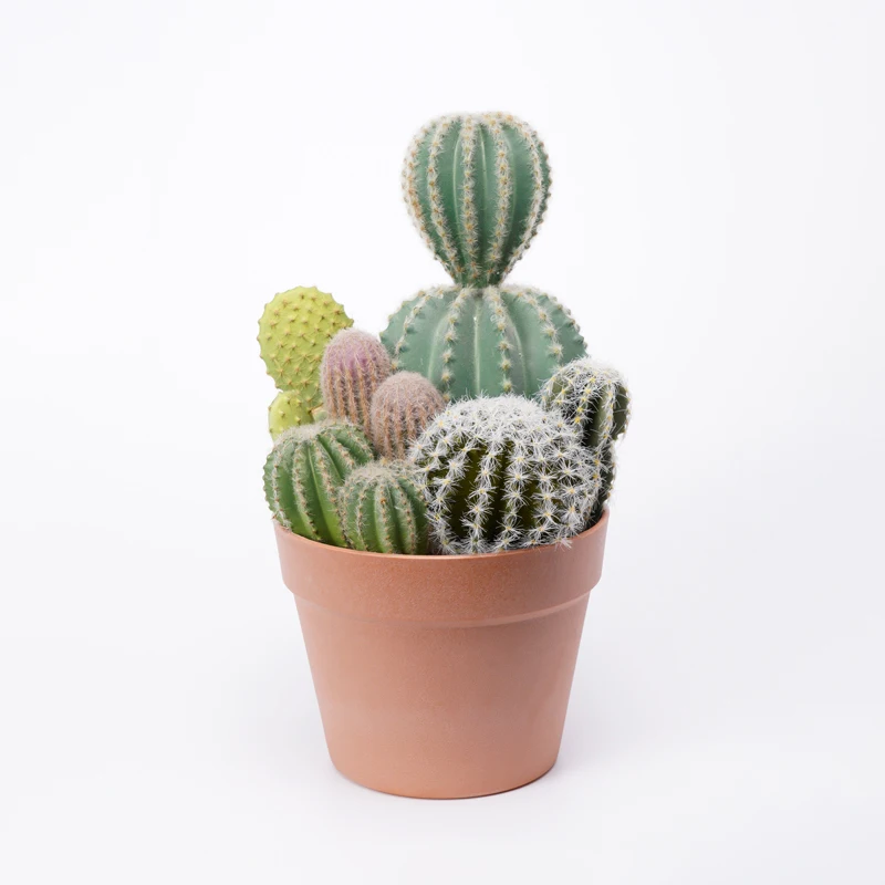 
Artificial Cactus Natural Looking Fake Plastic Plant Bonsai 21*20.5*34cm Faux Cactus in pp pot 