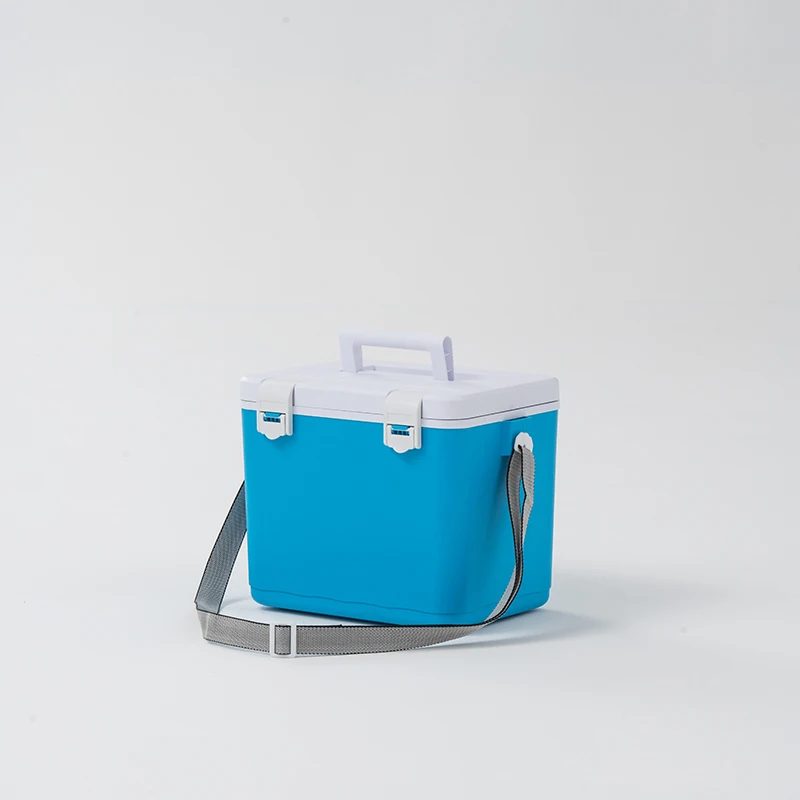 Wholesale Picnic 10L Ice Cooler Box Outdoor Camping Travel Insulation Cooling Box Portable Mini Beer Bucket