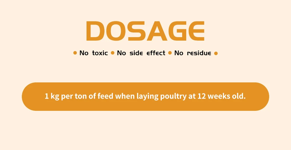 DUTTO layer feed More eggs premix concentrate poultry feed feeds direct manufactures