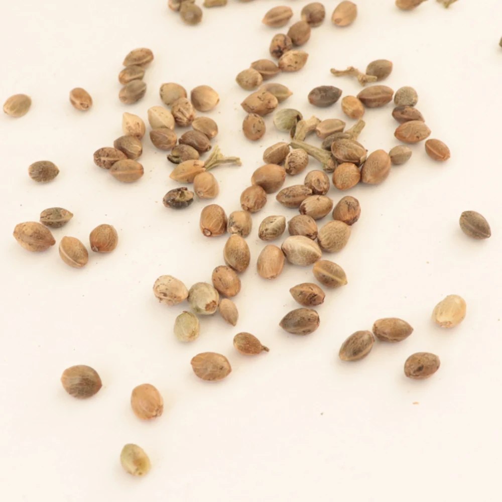 Wholesale Hulled And Unhulled Dried 99% Pure Organic Hemp Seed For Sale