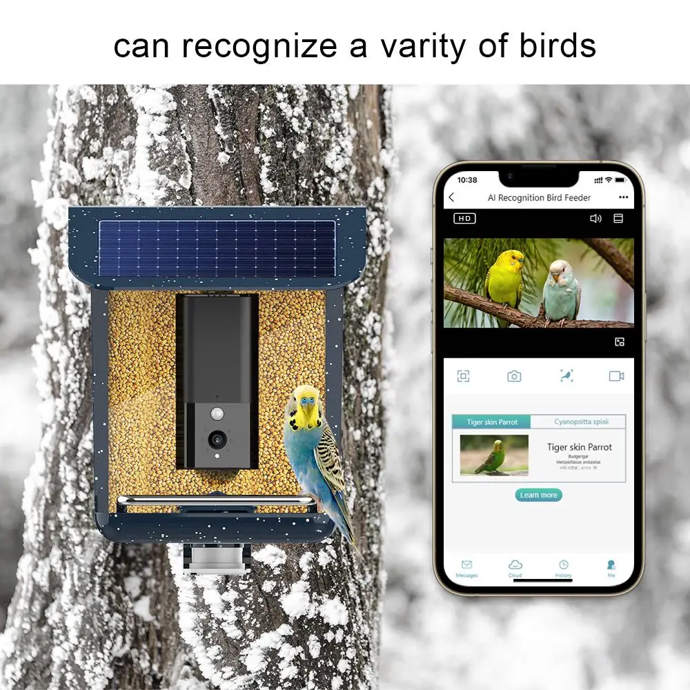 Bird watching smart feeder with camera for backyard garden wild bird feeding