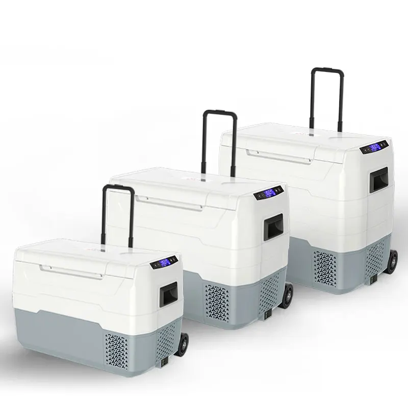 Small Outdoor Freezer Compressor Refrigeration Car Home Dual-Purpose Freezing  Refrigeration 12V24V Car Refrigerator