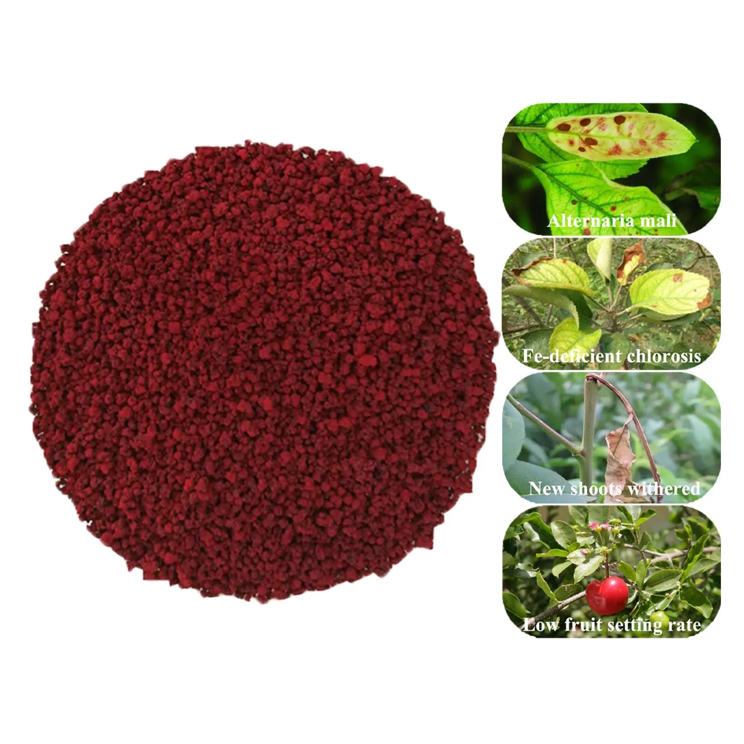 Hot selling EDDHA Fe 6% Granular fe eddha 6 iron chelate fertilizer edta price